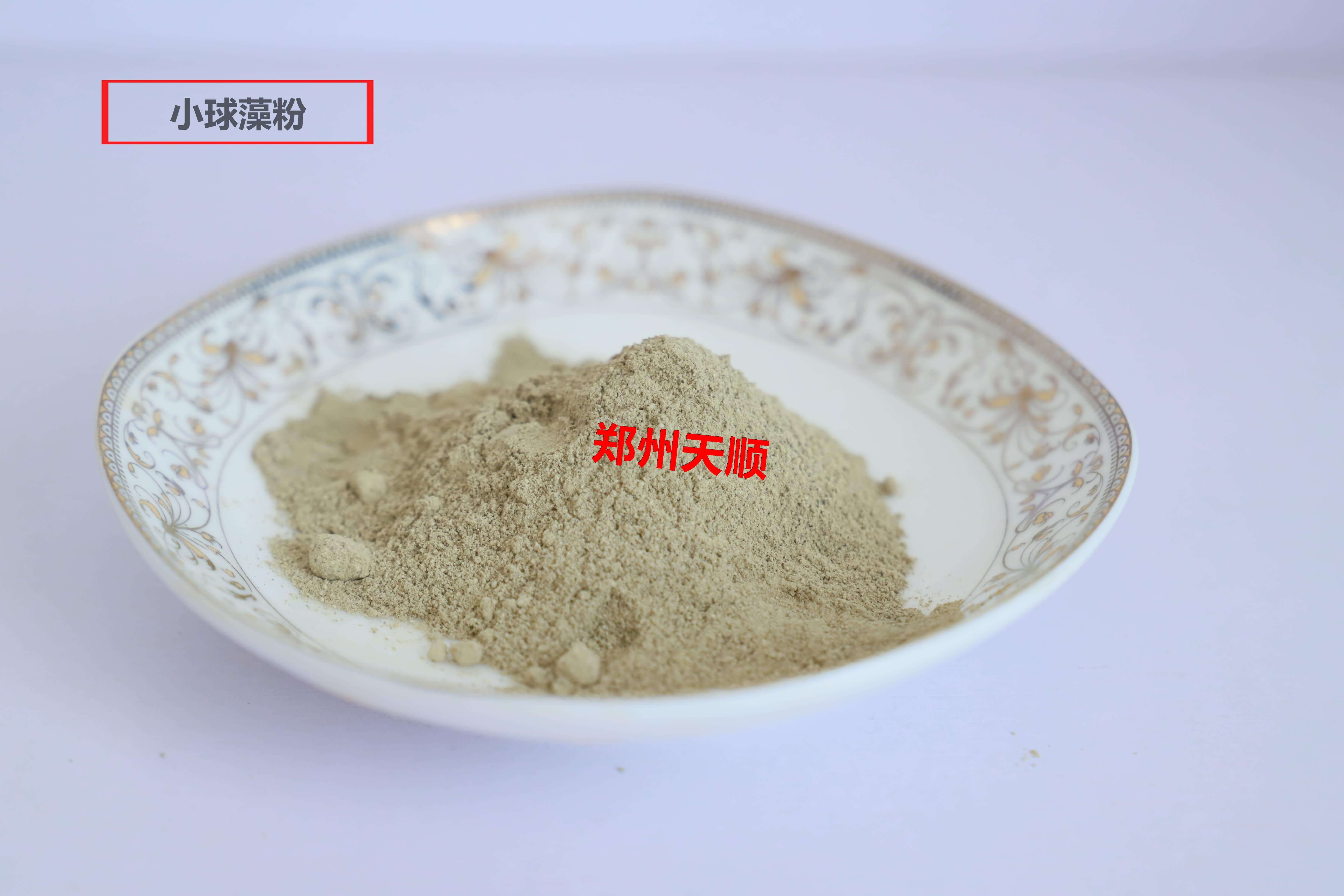 小球藻
