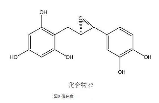 藏藥俄色葉的化學成分及藥理作用研究進展（二）