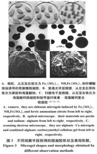 食品微凝膠的制備、表征與應(yīng)用（二）