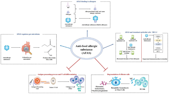 西北大學(xué)田陽博士在食品領(lǐng)域頂級(jí)期刊《Critical Reviews in Food Science and Nutrition》發(fā)表抗食物過敏綜述論文