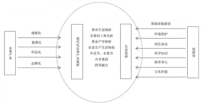 廣西熱帶水果產業(yè)與生態(tài)旅游業(yè)融合發(fā)展路徑研究