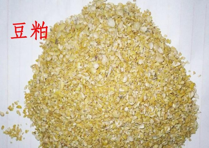 豆粕水解酶