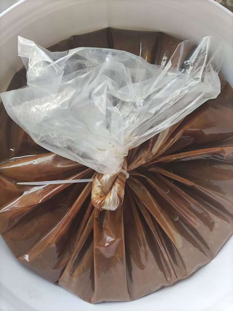 木瓜蛋白酶解牛肉制備寵物誘食劑，為什么口感苦？