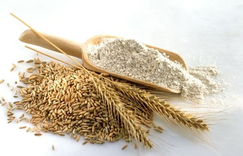 如何利用小麥蛋白酶解制備小麥蛋白多肽？