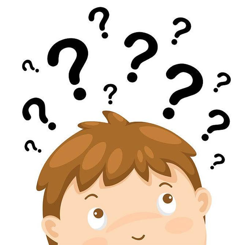 酶解法水解雞肝寵物誘食劑用什么酶好？