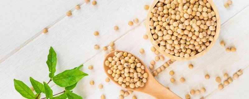 為什么酶解大豆蛋白制備大豆肽口感是苦的？如何解決？