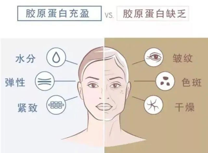 酶解鱈魚皮制備膠原蛋白的影響因素有哪些？