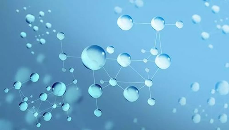 堿性蛋白酶制備小分子蛋白肽的有點(diǎn)有哪些？