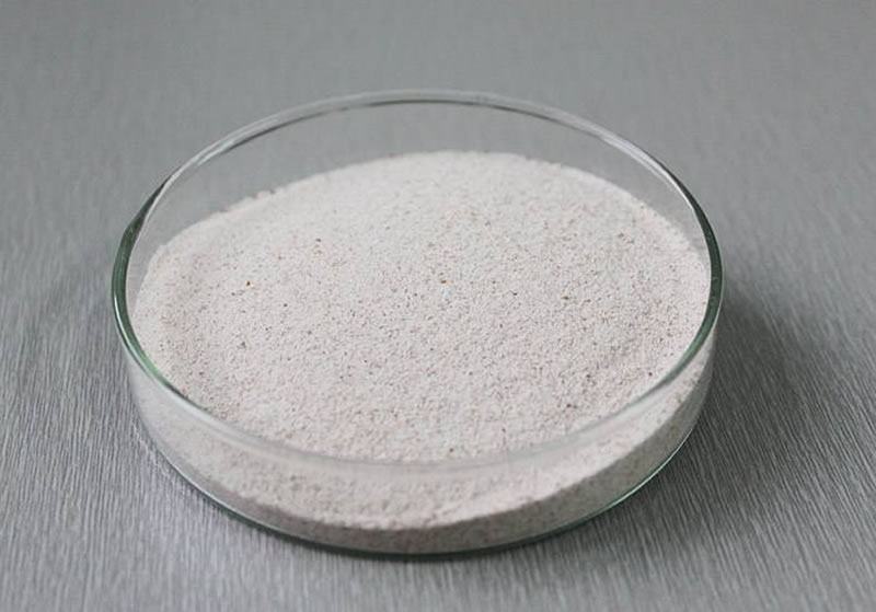 堿性蛋白酶在生產(chǎn)生活中的應(yīng)用有哪些？