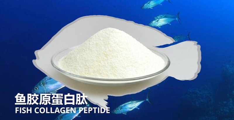 鱈魚如何酶解提取魚皮膠原蛋白？