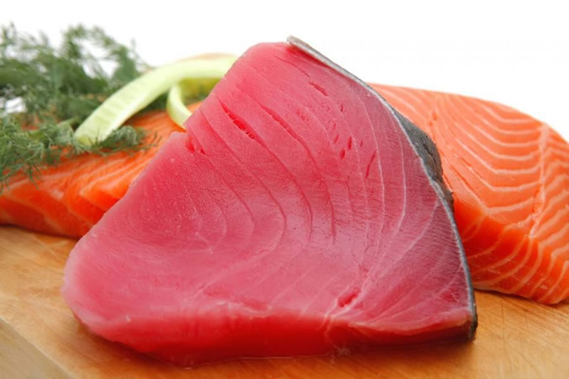 如何酶解金槍魚提高寵物貓糧誘食劑風(fēng)味性？