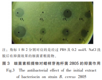 牡蠣中產(chǎn)廣譜細(xì)菌素芽孢桿菌的篩選及鑒定（三）